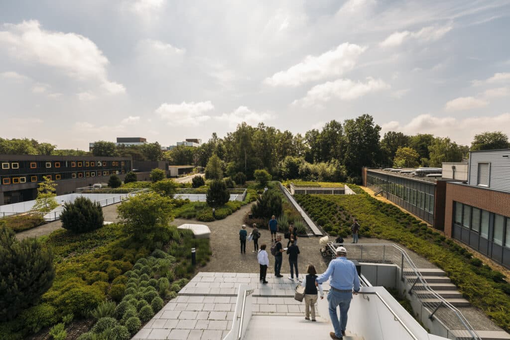 Eine Gruppe Personen geht auf dem DESY Gebäude Dach eine Treppe herunter